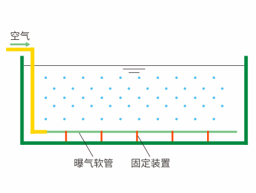 d88Ϸ(й)ٷվ
